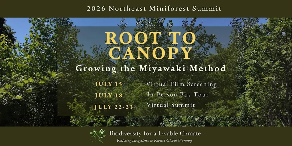 2026 Northeast Miniforest Summit